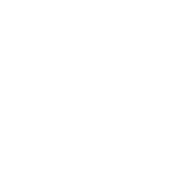 Information Technology icon